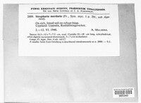 Image Associated With the Occurence